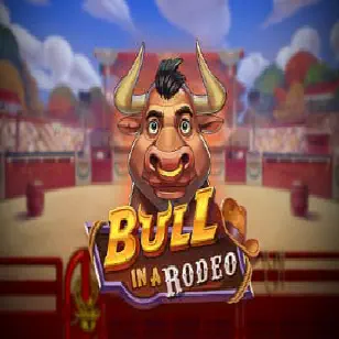 bull in a rodeo
